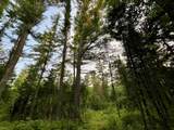 N10438 Jones Rd - Photo 37