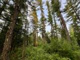 N10438 Jones Rd - Photo 38