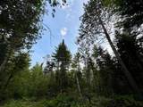N10438 Jones Rd - Photo 41