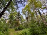 N10438 Jones Rd - Photo 47