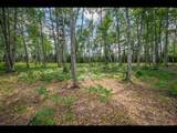 Lot 163 Clearwater Lake Tr - Photo 3