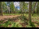Lot 163 Clearwater Lake Tr - Photo 6
