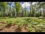 Lot 163 Clearwater Lake Tr - Photo 7