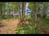 Lot 163 Clearwater Lake Tr - Photo 9