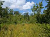 Parcel 4 West Y Rd - Photo 21