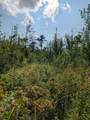 Parcel 4 West Y Rd - Photo 22