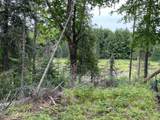Lot 4 Cisco Lake Rd E - Photo 7