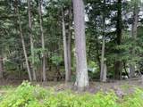 Lot 4 Cisco Lake Rd E - Photo 8