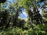 N1780 Hilmar Olson Rd - Photo 44