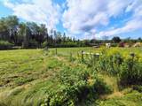 77374 Nagel Rd - Photo 50