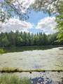 8659N Blue Gill Lake Rd - Photo 10