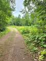 8659N Blue Gill Lake Rd - Photo 13