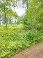 8659N Blue Gill Lake Rd - Photo 14