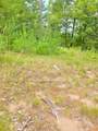 8659N Blue Gill Lake Rd - Photo 18