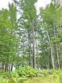 8659N Blue Gill Lake Rd - Photo 2
