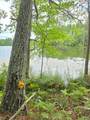 8659N Blue Gill Lake Rd - Photo 3