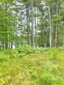 8659N Blue Gill Lake Rd - Photo 4