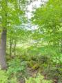 8659N Blue Gill Lake Rd - Photo 7