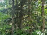 TBD Norlund Rd - Photo 11