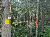 TBD Norlund Rd - Photo 8