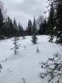 40 AC On Margaret Lake Rd - Photo 10