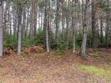 40 AC On Margaret Lake Rd - Photo 2