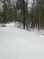 40 AC On Margaret Lake Rd - Photo 8