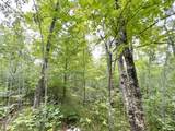 5.56ac Star Lake Rd - Photo 6