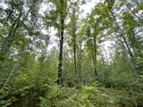 5.56ac Star Lake Rd - Photo 7