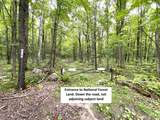 5.56ac Star Lake Rd - Photo 9