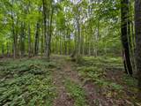 251 Tamarack Lake Rd - Photo 15