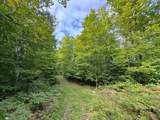 1905N Flowage Rd - Photo 42