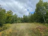1905N Flowage Rd - Photo 55