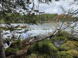 1905N Flowage Rd - Photo 58