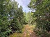 1905N Flowage Rd - Photo 60