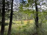 1905N Flowage Rd - Photo 66