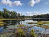 8549 Crawford Lake Rd - Photo 3
