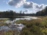 8549 Crawford Lake Rd - Photo 37