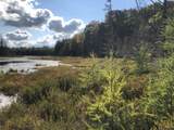 8549 Crawford Lake Rd - Photo 4