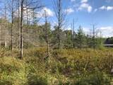 8549 Crawford Lake Rd - Photo 8