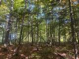 TBD Plymouth Rd - Photo 10