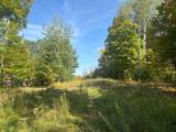 TBD Plymouth Rd - Photo 5