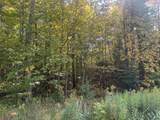 TBD Plymouth Rd - Photo 9