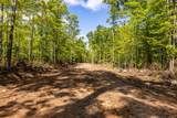 40 Acres Ison Rd - Photo 1