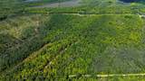 40 Acres Ison Rd - Photo 13