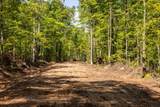 40 Acres Ison Rd - Photo 2