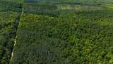 40 Acres Ison Rd - Photo 28
