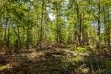 40 Acres Ison Rd - Photo 3