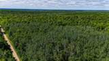 40 Acres Ison Rd - Photo 6