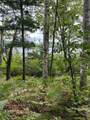 Off Booth Lake Rd - Photo 15